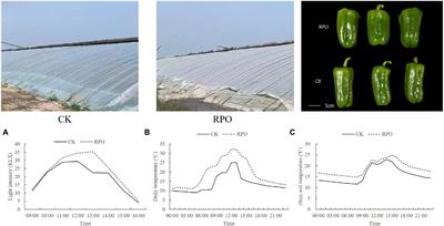 Effects of rare-earth light conversion film on the growth and fruit quality of sweet pepper in a solar greenhouse